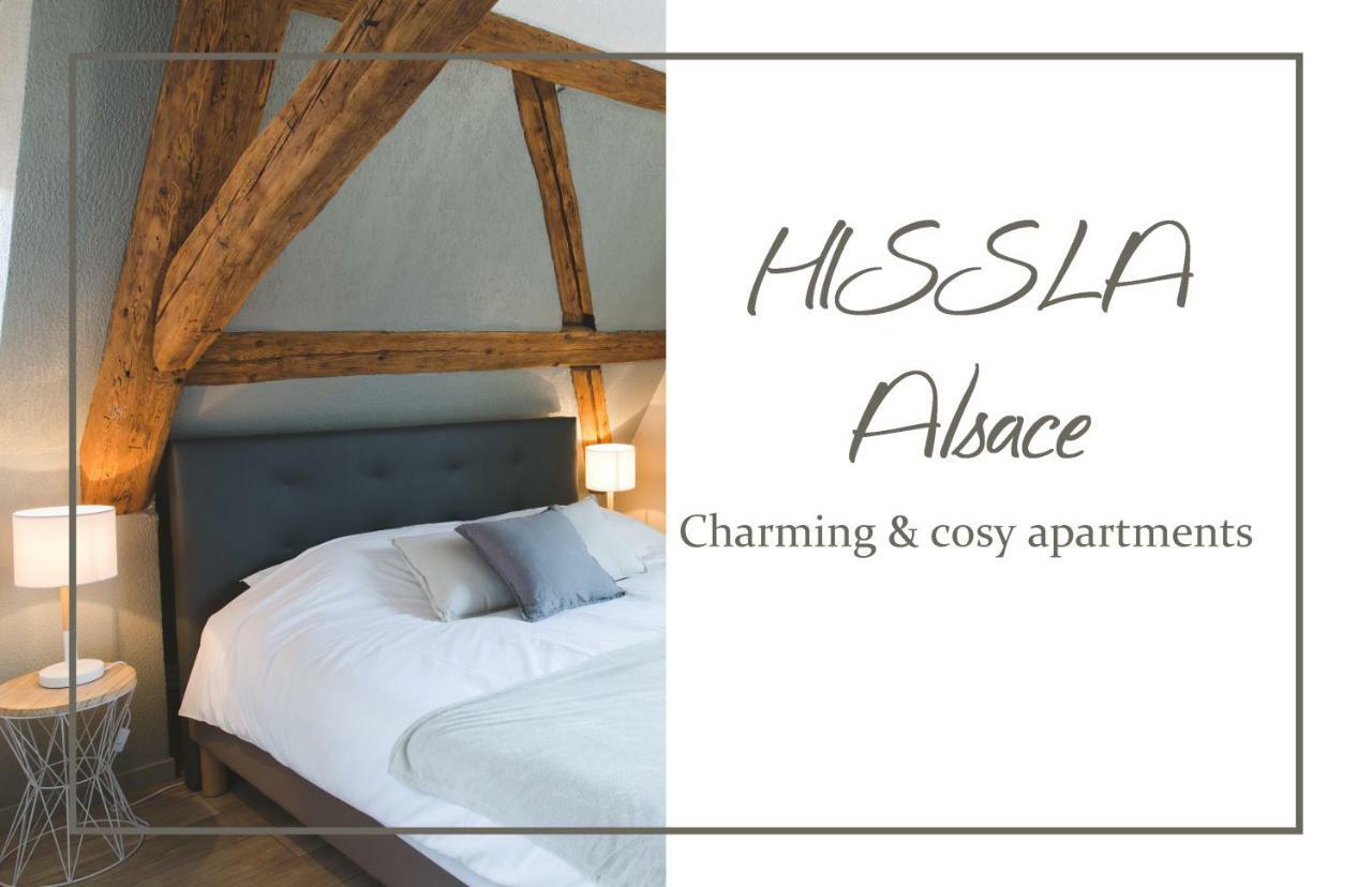 Villa Hissla Alsace Chic& Cosy Barr Wine Route Exterior foto